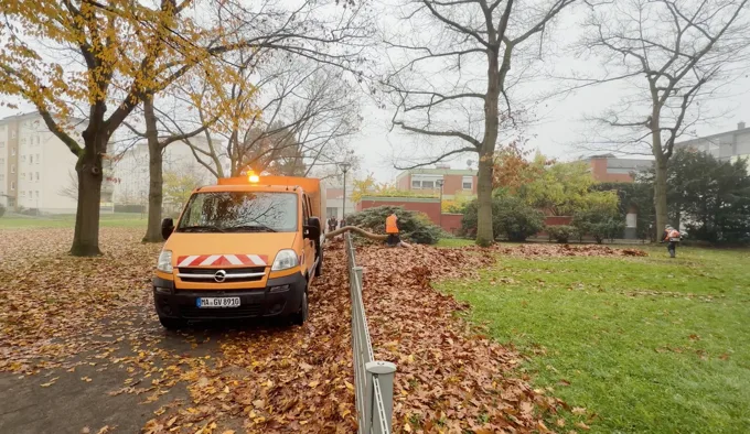 Herbstlicher Einsatz an einer Grünfläche